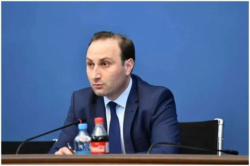 Andri Okhanashvili kicked out deputies of the opposition parties and some representatives of non-governmental organizations from the session in the parliament - "you have come to insult me, you seem to be getting paid for this"